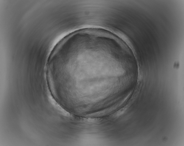 X0000113200958200910011253