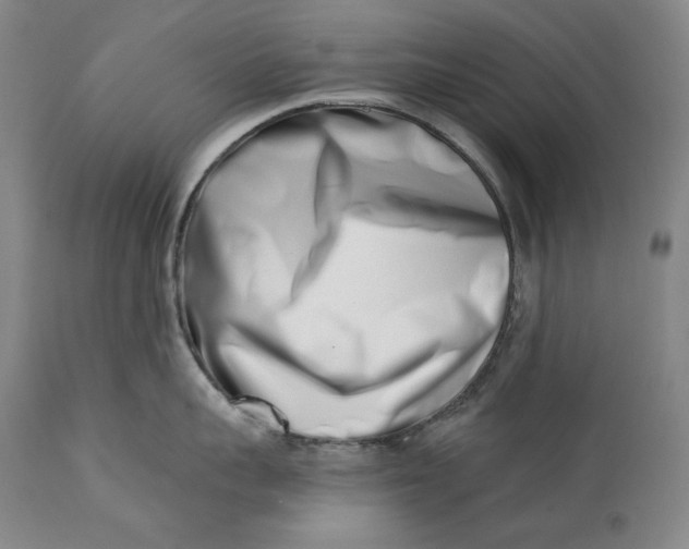 X0000113200959200910011253