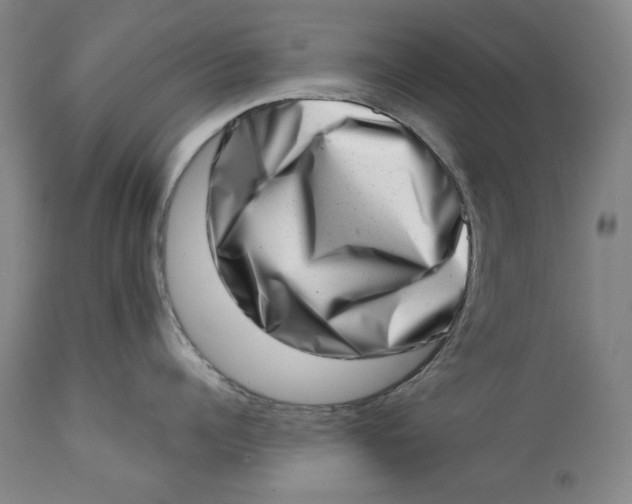 X0000113200960200910011253