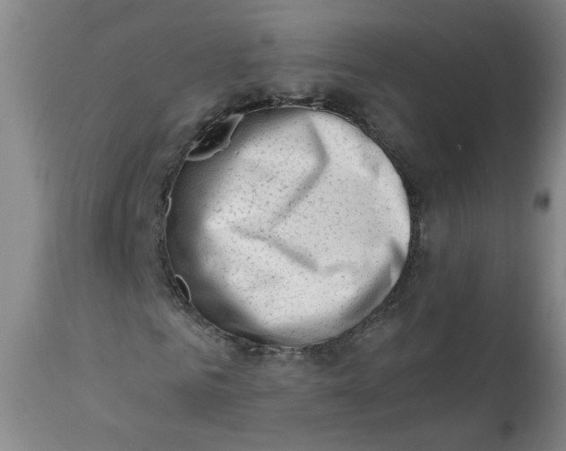 X0000113200961200910011252