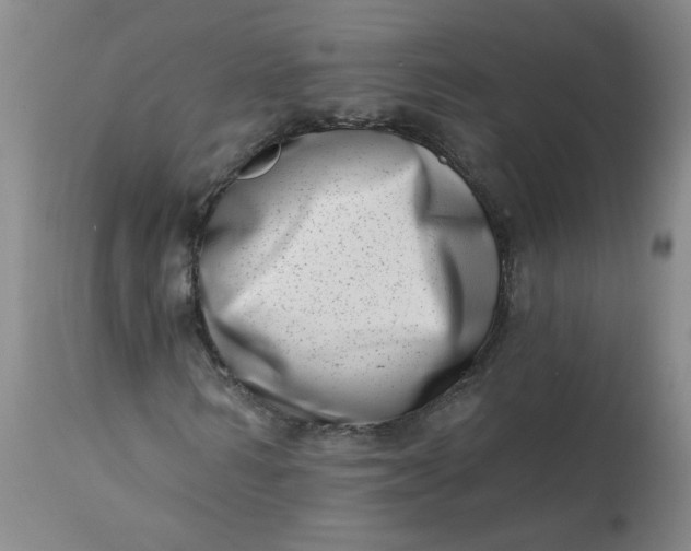 X0000113200962200910011252