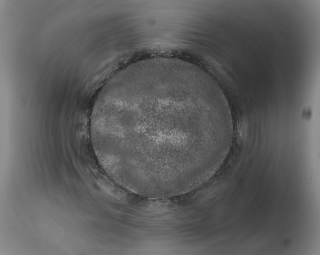 X0000113200964200910011252