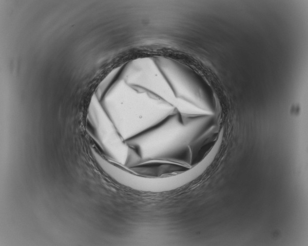 X0000113200965200910011252