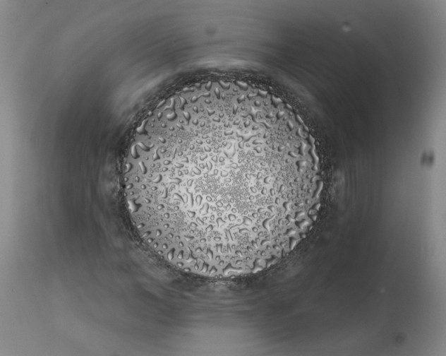 X0000113200966200910011252