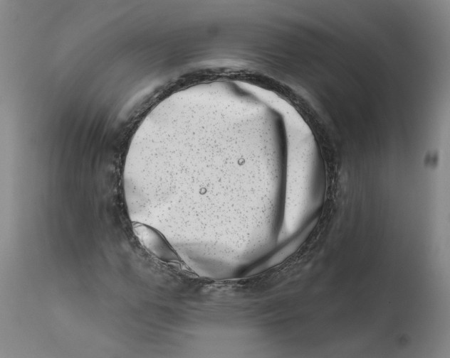 X0000113200967200910011252