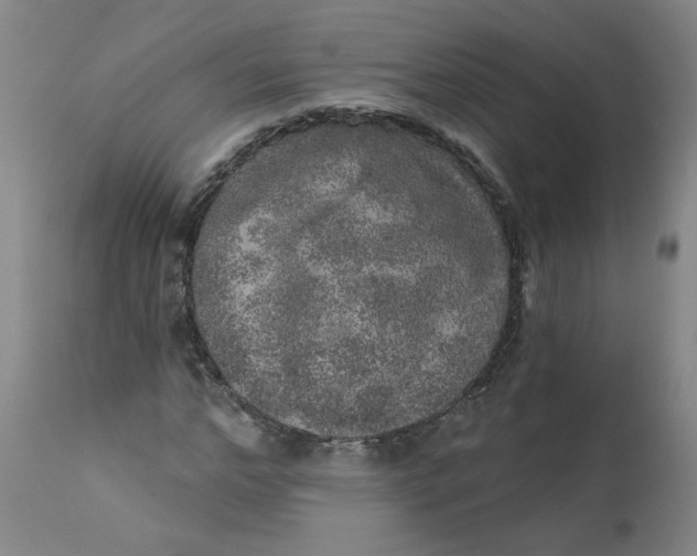 X0000113200968200910011252