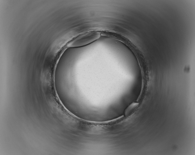 X0000113200969200910011252