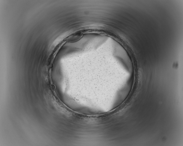 X0000113200970200910011252