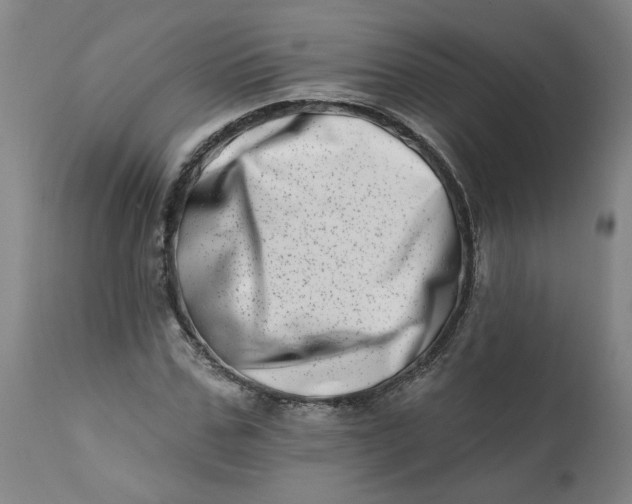 X0000113200971200910011252