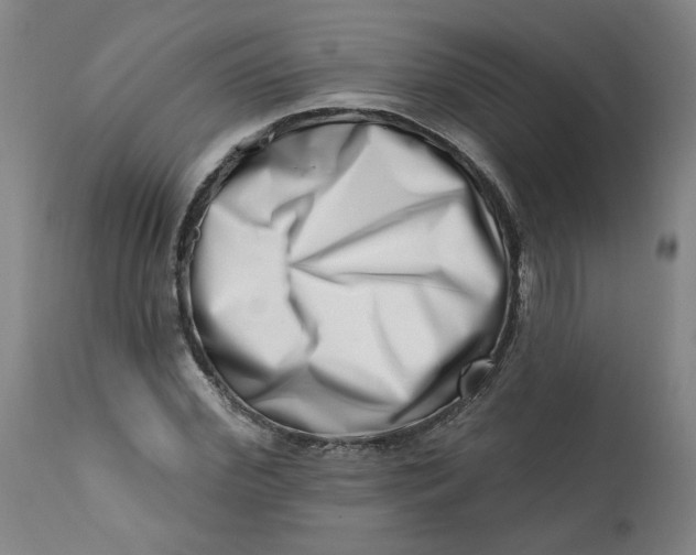 X0000113200972200910011252