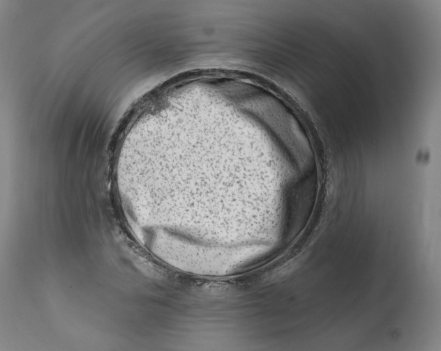 X0000113200974200910011252