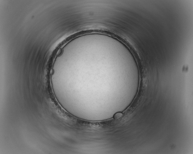 X0000113200975200910011252