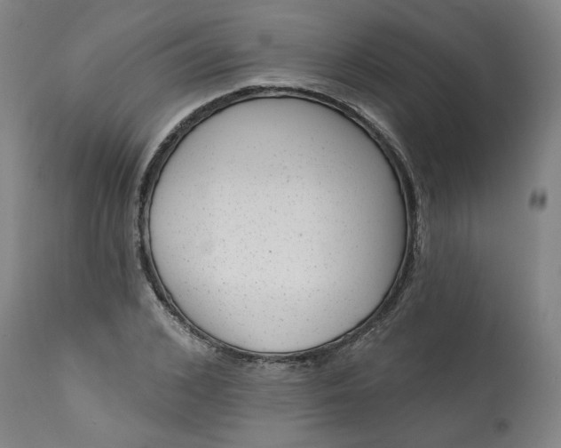 X0000113200976200910011252