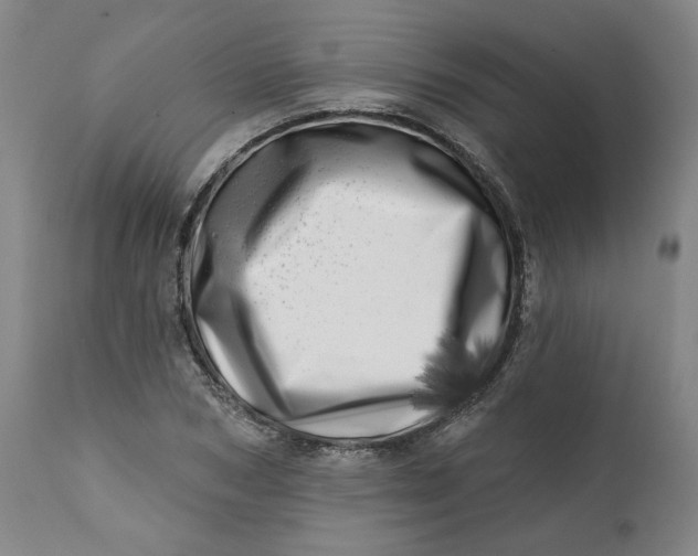 X0000113200978200910011252