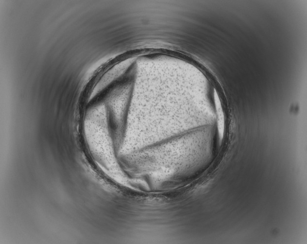 X0000113200979200910011252