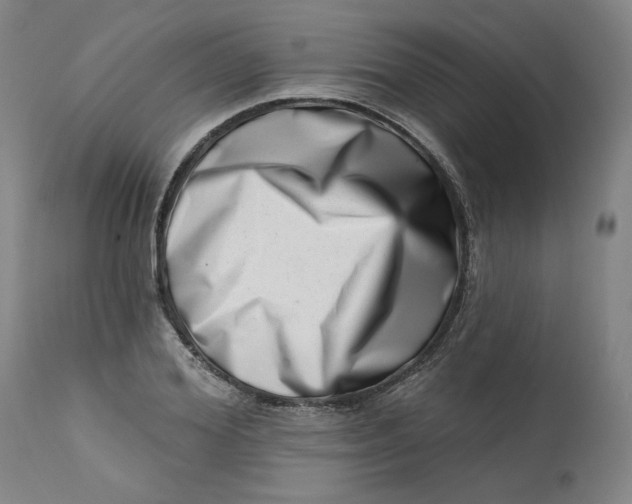 X0000113200980200910011252