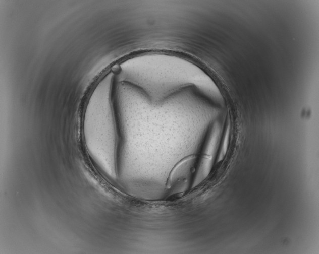 X0000113200982200910011252