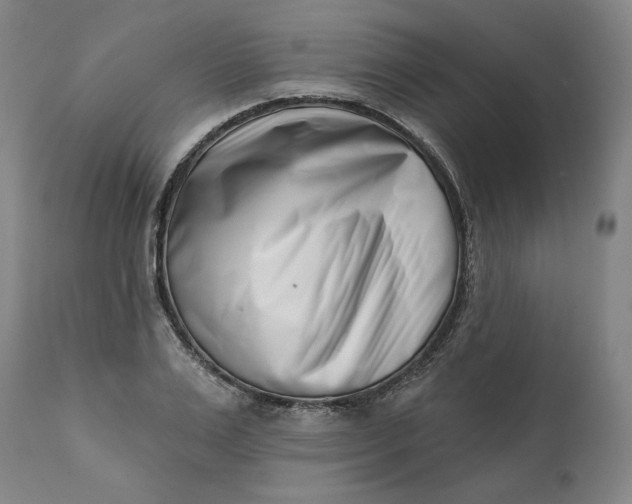 X0000113200983200910011252