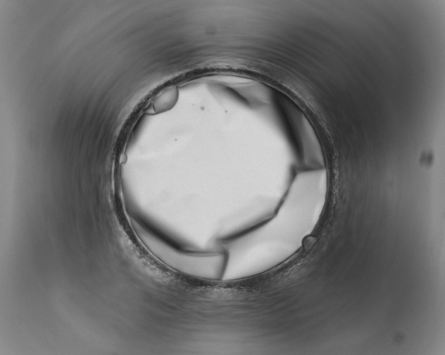 X0000113200984200910011252