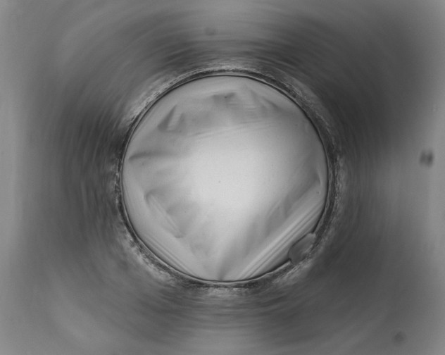 X0000113200985200910011252