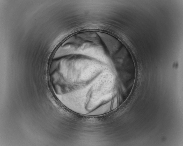 X0000113200986200910011252