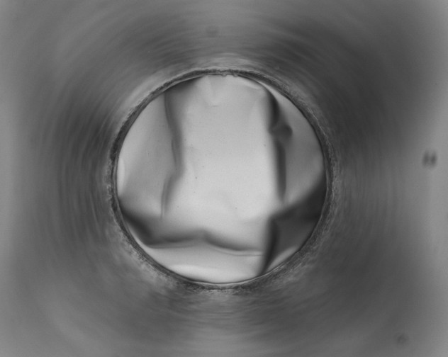 X0000113200990200910011252