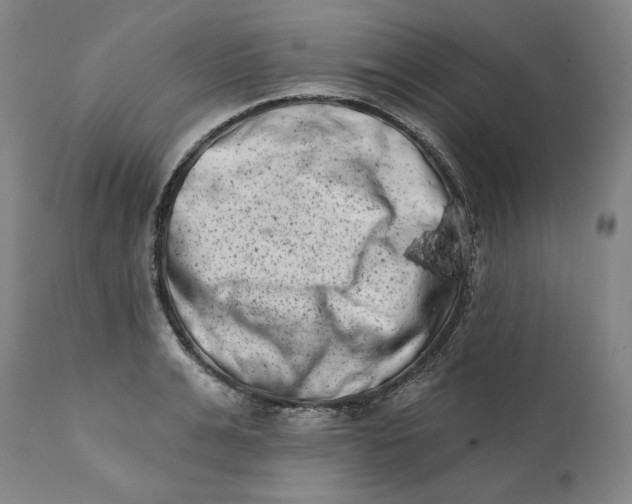 X0000113200991200910011252