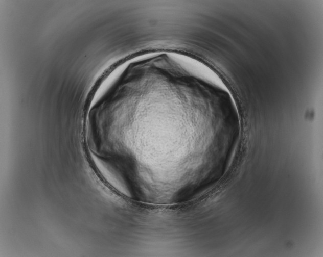 X0000113200992200910011251