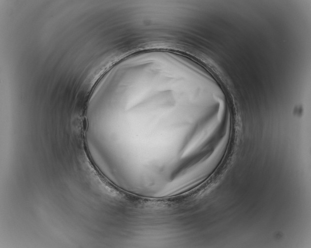 X0000113200993200910011251