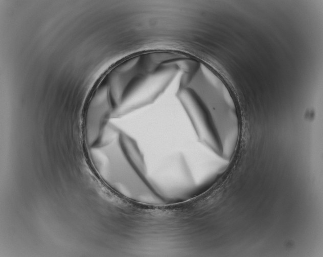 X0000113200996200910011251