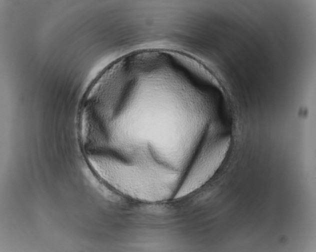 X0000113200998200910011251