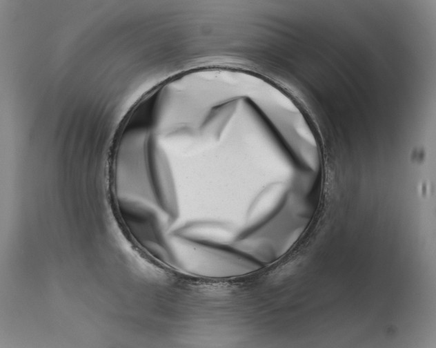 X0000113200999200910011251