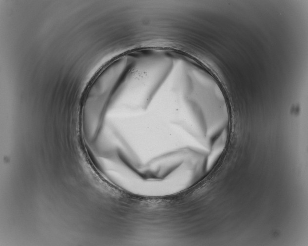 X0000113201000200910011251