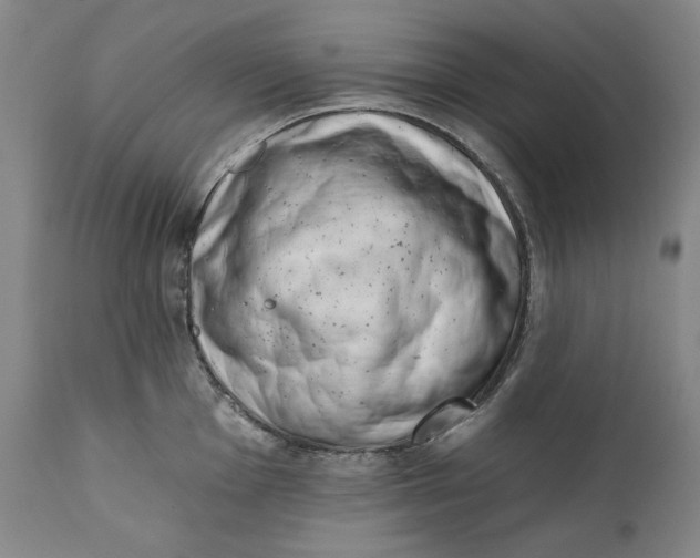 X0000113201001200910011251