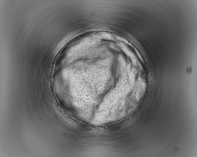 X0000113201002200910011251