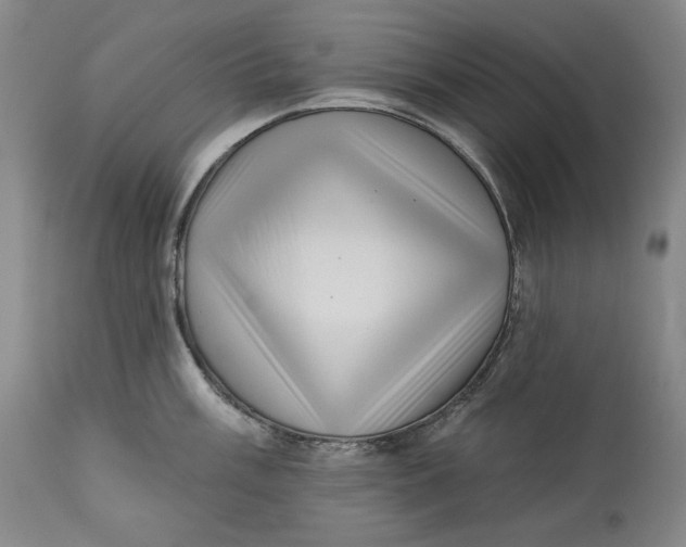 X0000113201003200910011251