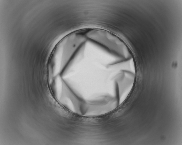 X0000113201004200910011251