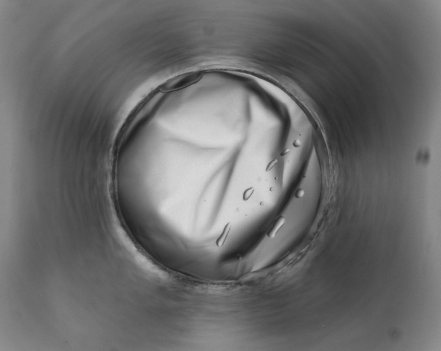 X0000113201005200910011251