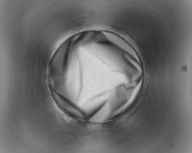 X0000113201006200910011251