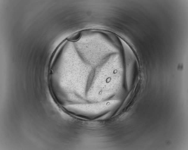 X0000113201007200910011251