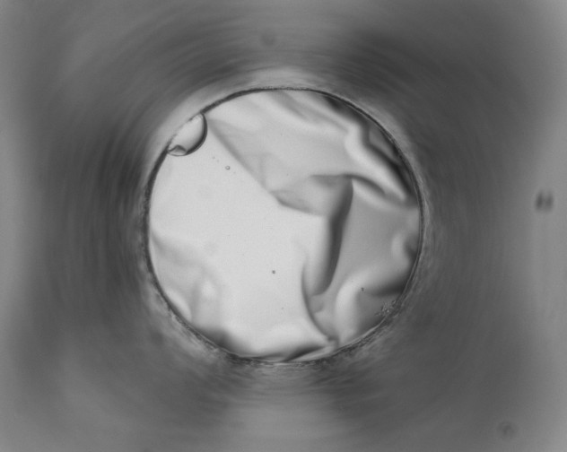 X0000113201008200910011251