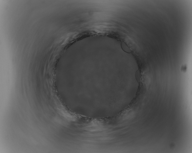 X0000113201009200910011251