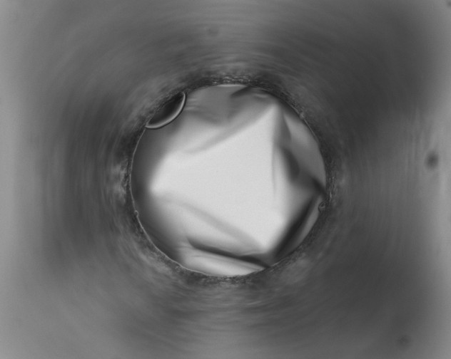 X0000113201010200910011251