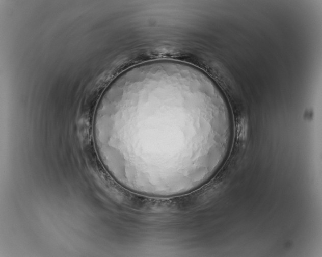 X0000113201011200910011251