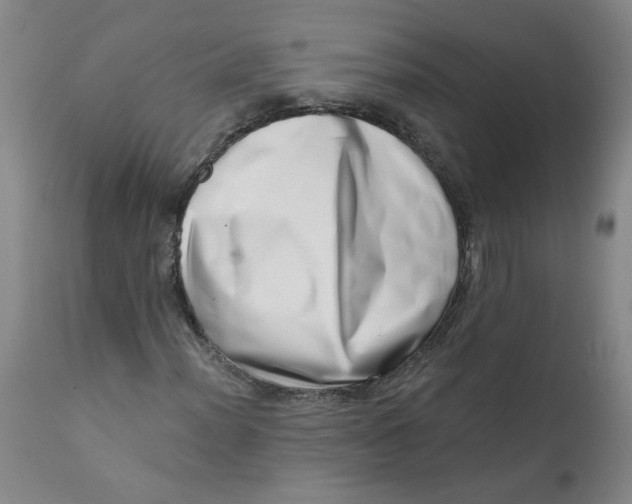 X0000113201012200910011251