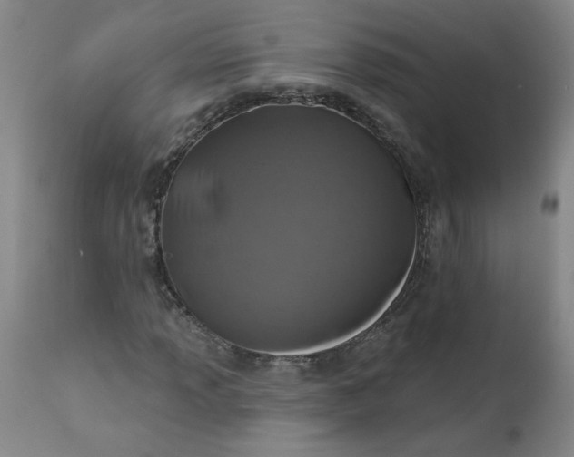 X0000113201013200910011251