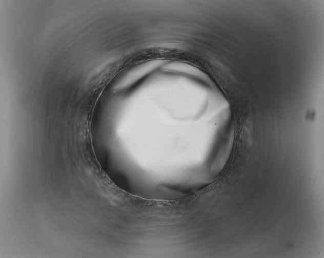 X0000113201014200910011251