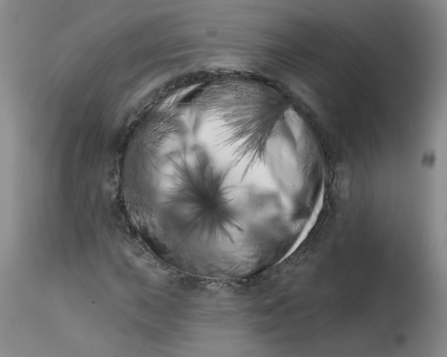 X0000113201015200910011251