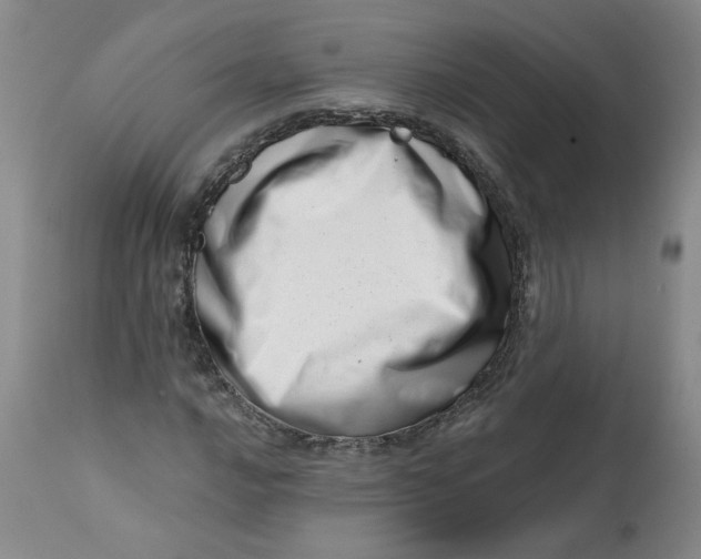 X0000113201016200910011251