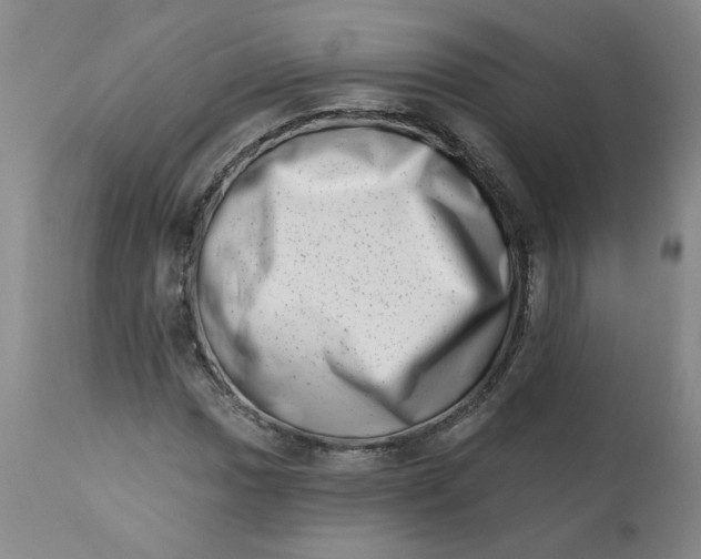 X0000113201017200910011251